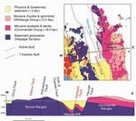 Miranda News - Miranda Shorebird Centre