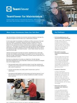 TeamViewer for Maintenance - Hupico