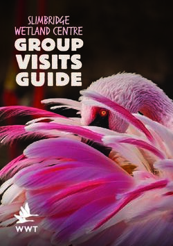 VISITS GUIDE Slimbridge - WWT