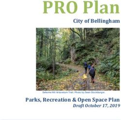 PRO Plan City of Bellingham - Parks, Recreation & Open Space Plan Draft October 17, 2019