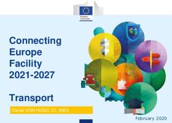 Connecting Europe Facility 2021-2027 Transport - February 2020 - EGTC ...