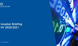 Investor Briefing HY 2020/2021