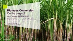Biomass Conversion On the cusp of commercialization