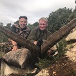 BALEAREAN GOAT ON MALLORCA - Diana Hunting Tours