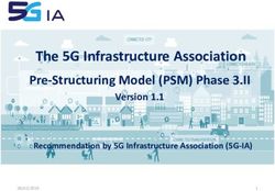 The 5G Infrastructure Association - Pre-Structuring Model (PSM) Phase 3.II Version 1.1 - 5G-PPP
