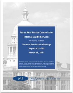 Texas Real Estate Commission Internal Audit Services