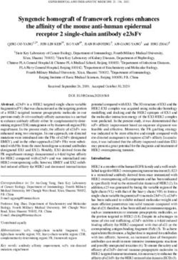 Syngeneic homograft of framework regions enhances the affinity of the mouse anti human epidermal receptor 2 single chain antibody e23sFv