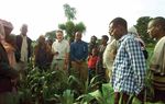 Eastern Africa Fall Armyworm Management Strategy and Implementation Plan - ASARECA