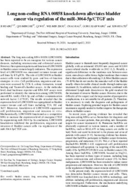 Long non coding RNA 00858 knockdown alleviates bladder cancer via regulation of the miR 3064 5p/CTGF axis