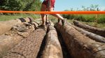 THE GAUNTLET MUD RUN Reach Customers & Support Local Youth Programming! - Saturday, July 31, 2021 - The Light Foundation