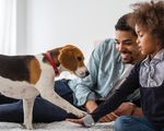 Elanco to Acquire Bayer's Animal Health Business - Animal Health