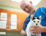 Elanco to Acquire Bayer's Animal Health Business - Animal Health