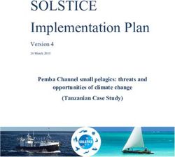 SOLSTICE Implementation Plan - Pemba Channel small pelagics: threats and opportunities of climate change (Tanzanian Case Study) - solstice-wio.org