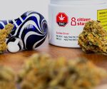 Investor Presentation Q2 2021 - TSXV: EXP, FSE: MB31, OTCQB:EXPFF www.experionwellness.com www.citizenstash.com - Citizen Stash