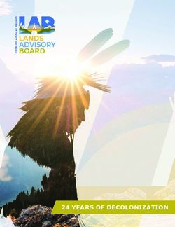 24 YEARS OF DECOLONIZATION - First Nations Land ...