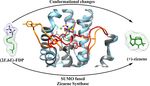 Development of the biotechnological production of -zizaene: Enzymology, metabolic engineering and in situ product recovery