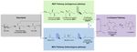 Development of the biotechnological production of -zizaene: Enzymology, metabolic engineering and in situ product recovery