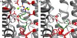Development of the biotechnological production of -zizaene: Enzymology, metabolic engineering and in situ product recovery