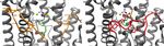 Development of the biotechnological production of -zizaene: Enzymology, metabolic engineering and in situ product recovery