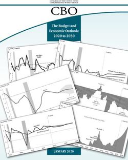The Budget and Economic Outlook: 2020 to 2030 - JANUARY 2020