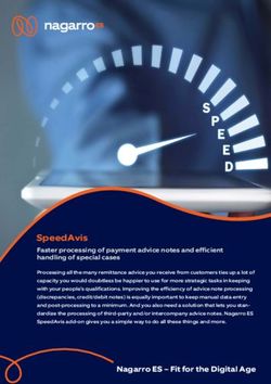 SpeedAvis Faster processing of payment advice notes and efficient handling of special cases - Nagarro ES
