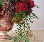 2020/21 AMERICAN FLORAL TRENDS FORECAST