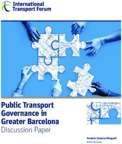 CPB - Public Transport Governance in Greater Barcelona Discussion Paper