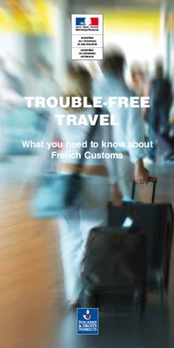 TROUBLE-FREE TRAVEL What you need to know about French Customs - What you need to know about French ...