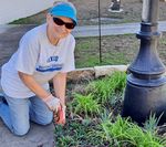 We dig spring! Transformation continues in the Oaks Courtyard - HIGHLAND LAKES MASTER GARDENER ASSOCIATION