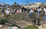 We dig spring! Transformation continues in the Oaks Courtyard - HIGHLAND LAKES MASTER GARDENER ASSOCIATION