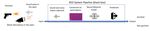 Disrupting Audio Event Detection Deep Neural Networks with White Noise
