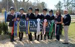 Tiger Talent Equestrian Camp - Your guide to everything you need to know! - Clemson University
