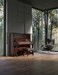 Alexander Gadjiev Chopin and the ungraspable - Piano Street