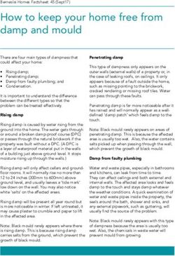 How to keep your home free from damp and mould - Berneslai Homes