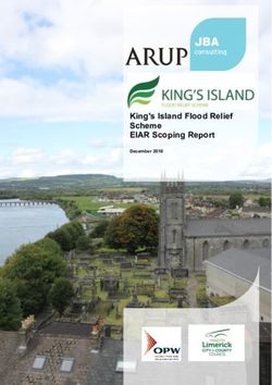 King's Island Flood Relief Scheme EIAR Scoping Report - King's Island Flood Relief Scheme