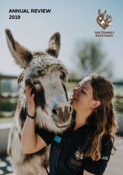 ANNUAL REVIEW 2019 - The Donkey Sanctuary