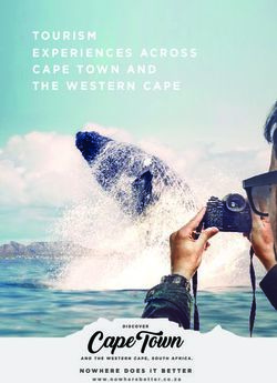EXPERIENCES ACROSS CAPE TOWN AND THE WESTERN CAPE - Wesgro
