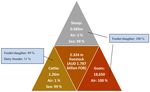 Review of Livestock Welfare Indicators Relevant for the Australian Live Export Industry