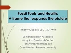 FOSSIL FUELS AND HEALTH: A FRAME THAT EXPANDS THE PICTURE - TIMOTHY CIESIELSKI SCD MD MPH SENIOR RESEARCH ASSOCIATE MARY ANN SWETLAND CENTER FOR ...