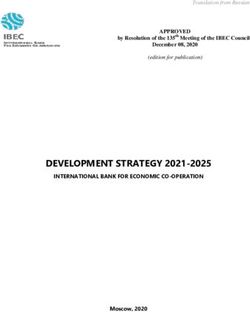 DEVELOPMENT STRATEGY 2021-2025 - IBEC