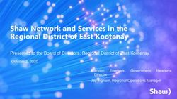 Shaw Network and Services in the Regional District of East Kootenay - Presented to the Board of Directors, Regional District of East Kootenay ...