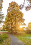 Local Biodiversity Action Plan - Lisburn & Castlereagh - www.lisburncastlereagh.gov.uk - Lisburn & Castlereagh City ...