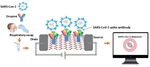 VIEWPOINT: HOW THE GRAPHENE COULD HELP TO DECREASE SARS- COV-2 SPREAD?