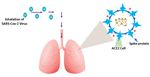VIEWPOINT: HOW THE GRAPHENE COULD HELP TO DECREASE SARS- COV-2 SPREAD?