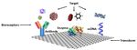 VIEWPOINT: HOW THE GRAPHENE COULD HELP TO DECREASE SARS- COV-2 SPREAD?
