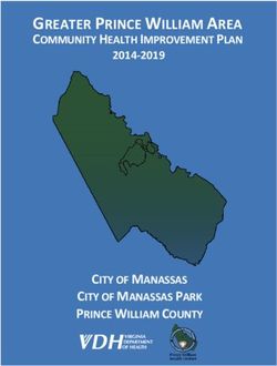 GREATER PRINCE WILLIAM AREA - COMMUNITY HEALTH IMPROVEMENT PLAN - CITY OF MANASSAS CITY OF MANASSAS PARK PRINCE WILLIAM COUNTY