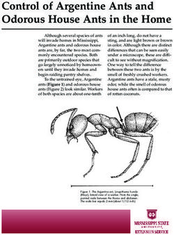 Control of Argentine Ants and Odorous House Ants in the Home