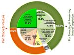 DOCUMENTS Does the Brazilian soybean production increase pose a threat on the Amazon rainforest?