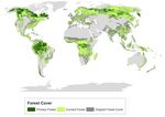 DOCUMENTS Does the Brazilian soybean production increase pose a threat on the Amazon rainforest?
