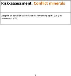 Risk-assessment: Conflict minerals - A report on behalf of Direktoratet for forvaltning og IKT (DIFI) by Swedwatch 2020 - Anskaffelser.no